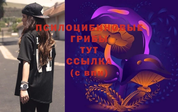 apvp Аркадак